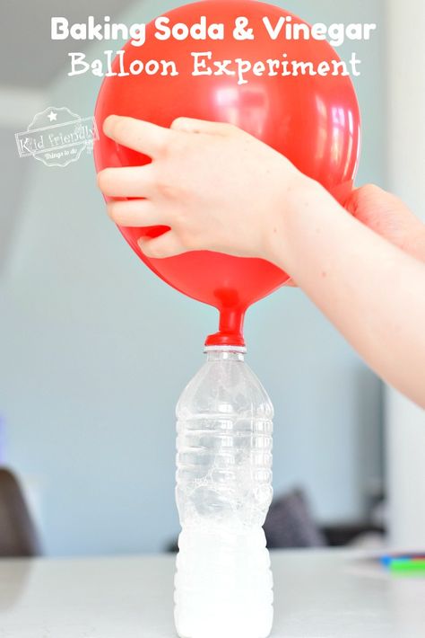 A great lesson in Carbon Dioxide Gas. Watch Balloons expand during this fun Baking Soda and Vinegar Balloon Experiment. So much fun for kids to watch! www.kidfriendlythingstodo.com #balloon #experiment #science #bakingsoda #vinegar #stem #fun #kids Vinger Baking Soda Experiment, Baking Soda And Vinegar Balloon, Blow Up Balloon With Baking Soda, Baking Soda Balloon Experiment, Balloon Preschool Activities, Balloon Experiments For Kids, Baking Soda And Vinegar Experiment Kids, Ballon Experiment, Balloon Activities For Kids