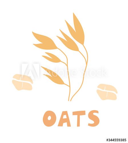 Oats set. Bag of oat flour, sack of grains, wooden scoop with cereals, golden ears of corn, oat milk and cookies. Oat flakes and bowl with oatmeal.A handful of oats seed. Template for banner, card. #AD , #scoop, #wooden, #grains, #ears, #golden Fonts Calligraphy, Wooden Scoop, Milk And Cookies, Ears Of Corn, Milk N Cookies, Art Fonts, Oat Flour, Oat Milk, Flour Sack