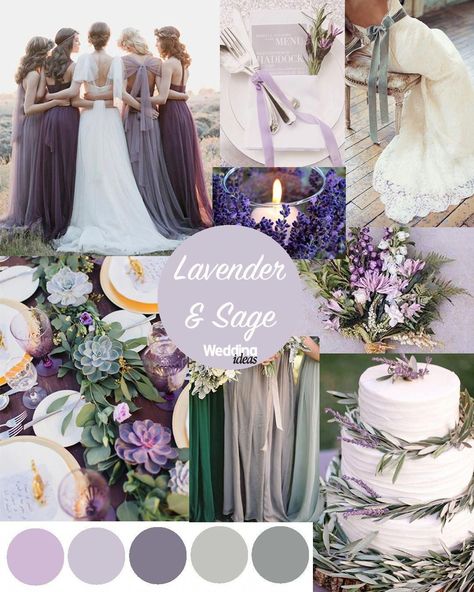 Image Result For Sage And Lavender Wedding Colors Check more at https://weddingdream.me/wedding-colors-schemes-september-shades-39-ideas-for-2020/2 Lavender And Sage Wedding, Lavender Wedding Colors, Collage Of Photos, Vintage Wedding Colors, Lavender Wedding Theme, Sage Wedding, Lilac Wedding, Lavender Sage, Sage Green Wedding