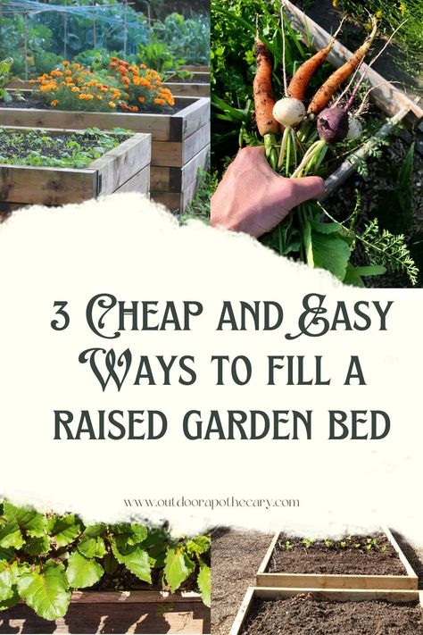 Are you looking for a fast and affordable way to fill a raised garden bed and get started on your gardening journey? Look no further! In this blog post, we’ll discuss the easiest and most cost-effective ways to fill a raised garden bed and get you growing in no time! Fill A Raised Garden Bed, Plants For Raised Beds, Lasagna Gardening, Seed Starter Kit, Diy Compost, Gardening Inspiration, Herb Garden Design, Thriving Garden, Garden Oasis