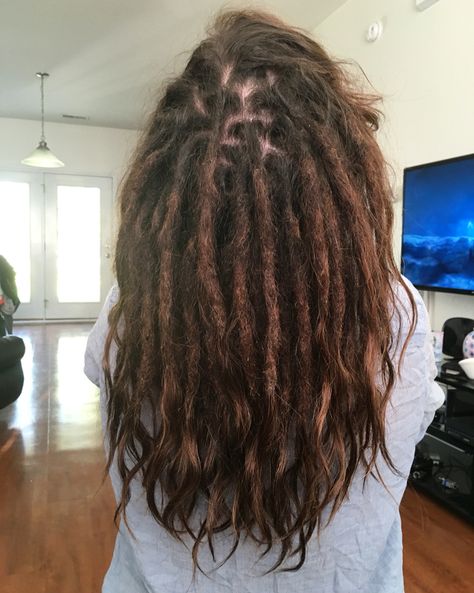 One month old dreadlocks. #dreadlocks Dreadlocks Short Hair, Universal Hairstyles, White Dreadlocks, Dreadlock Ideas, Dreads Locks, Dreadlock Journey, Thick Dreads, Freeform Dreads, Red Dreads