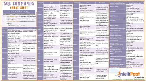 Introduction: SQL is a basic query language which every programmer must know. This cheat sheet Mysql Commands, Java Cheat Sheet, Sql Cheat Sheet, Sql Commands, Networking Basics, Learn Sql, Holographic Projection, Memes Gretchen, Basic Computer Programming