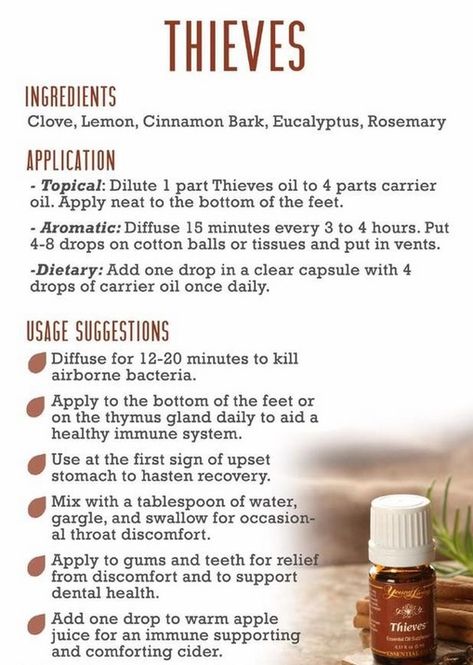 Thieves Essential Oil Recipe, Thieves Oil Recipe, Thieves Oil, Thieves Essential Oil, Essential Oils Collection, Aromatherapy Recipes, Essential Oils For Pain, Young Living Essential Oils Recipes, Essential Oils Guide