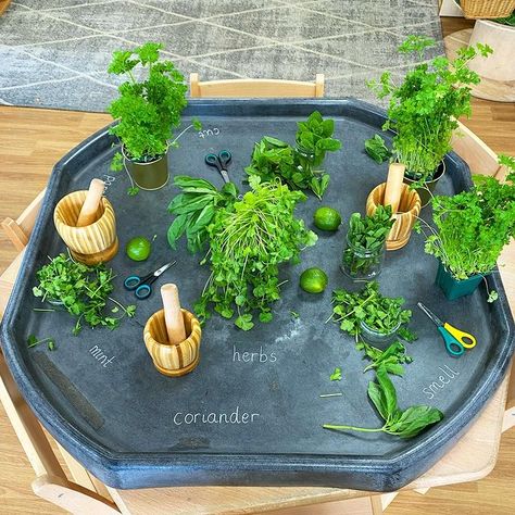 Tuff Tray Ideas Toddlers, Curiosity Approach, Garden Unit, Eyfs Classroom, Reggio Classroom, Garden Activities, Eyfs Activities, Nature School, Nursery Activities