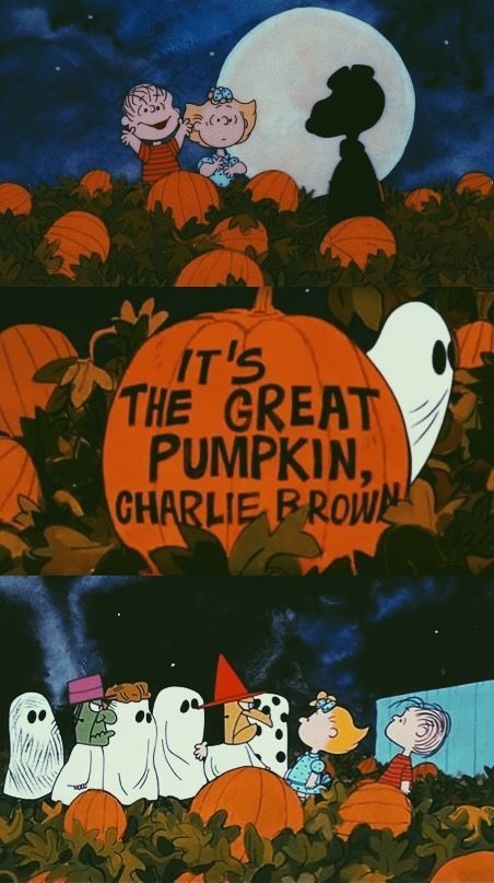 Peanuts Wallpaper, The Great Pumpkin Charlie Brown, Great Pumpkin Charlie Brown, Charlie Brown Halloween, Halloween Wallpaper Iphone Backgrounds, It's The Great Pumpkin, Halloween Wallpaper Backgrounds, Snoopy Cartoon, Halloween Wallpaper Cute