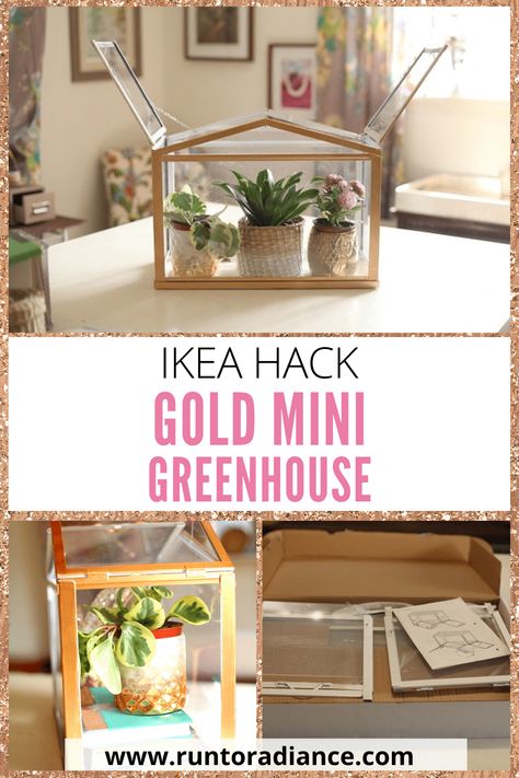 Basement Greenhouse Diy, Ikea Greenhouse Ideas, Table Top Greenhouse Diy, Tabletop Greenhouse, Mini Green House Diy, Ikea Greenhouse Hack, Mini Greenhouse Diy, Mini Indoor Greenhouse Diy, Diy Indoor Greenhouse