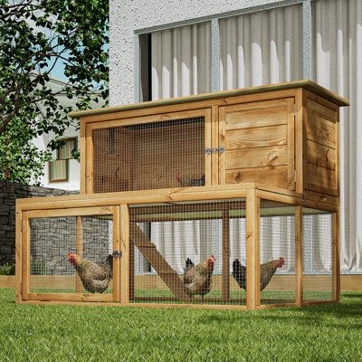 With fir wood construction, this spacious pet cage has a built-in run for your lovely little pet to graze and run on the field. Two levels are linked with a robust and ramp access. It can keep your pet in either floor for easy cleaning. When your pet is tired, it can climb up the ramp and rest in its own bedroom that is separated from its playing area and is fully enclosed by the fir wood, creating a warm, safe, trustful and fully relaxed environment. | Tucker Murphy Pet™ Demery Wooden 2-Tier Ch Outdoor Chicken Coop, Rabbit Hutch Indoor, Wooden Chicken Coop, Diy Rabbit Hutch, Walk In Chicken Coop, Wooden Chicken, Poultry House, Backyard Chicken Coop Plans, Poultry Cage