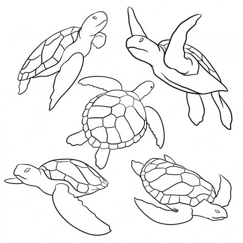 Premium Vector | Set of hand drawn turtle Cute Turtle Drawings, Turtle Sketch, Sea Turtle Drawing, Turtle Quilt, Turtle Drawing, Sea Turtle Art, Turtle Tattoo, Turtle Painting, Turtle Art