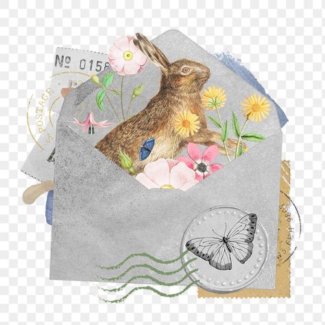 Easter Bunny Aesthetic, Envelope Collage, Open Envelope, Easter Collage, Collage Cards, Bunny Aesthetic, Aesthetic Butterfly, Easter Backgrounds, Bunny Png