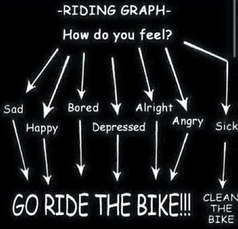 How do you feel today? Doesn't matter - go ride a bike!   RELATED: The benefits of cycling together or alone -  http://www.bikeroar.com/articles/the-benefits-of-cycling-together-or-alone.   #bicycle #happiness #goride #bike #feelbetter #itsmyhappyplace Cycling Memes, Bike Humor, Motorcycle Memes, Motorcycle Humor, Riding Quotes, Bike Quotes, Cycling Quotes, Biker Quotes, Go Ride