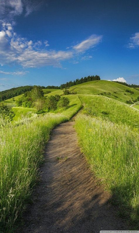 Path on a grassy hillside (no location given) by Pexels on Pixabay cr. Scenery Photos, Landscape Photography Tips, Green Heart, Green Landscape, Authentic Italian, Nature Landscape, Sirens, Amazing Nature, Beautiful World