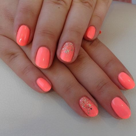 Coral Pink Short Nails, Short Gel Nails Bright Colors, Beach Nails Vacation Dip Powder, Coral Holiday Nails, Coral Dip Powder Nails, Summer Nails 2023 Gel, Coral Gel Nails, Gel Summer Nails, Coral Nail Art