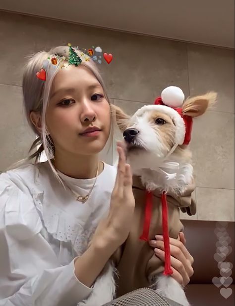 #hank_says_hank Rose Christmas Blackpink, Hank Rose, Pop Christmas, Stickers Whatsapp, Rosé Lq, Rosé Christmas, Christmas Pfp, Rosie Posie, Blackpink Icons