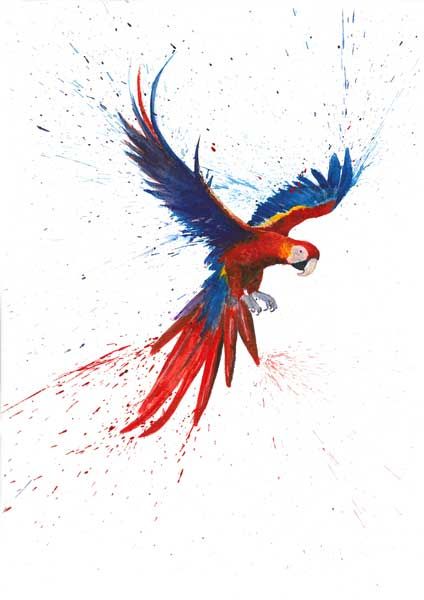 Parrot Png, Parrot Clipart, Water Clipart, Parrot Tattoo, Parrot Painting, Scarlet Macaw, Pheasant Feather, Watercolor Projects, Background Wallpaper For Photoshop