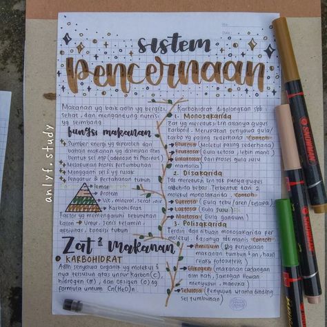 Organ Pencernaan, Catatan Aesthetic, Sistem Pencernaan, Medical Education, Mind Map, Ipa, Social Science, Peta, Biology