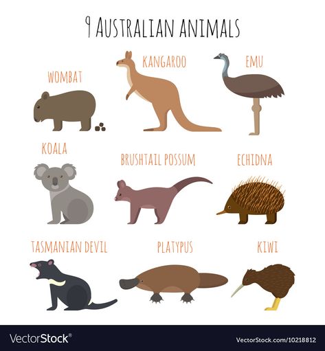 Zoomerang Vbs, Australian Party, Australian Icons, Australia Animals, Animal Icon, Tasmanian Devil, Animal Coloring Books, Australia Day, Platypus