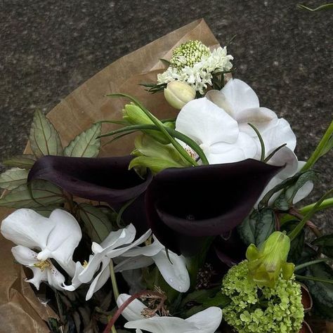 Out Of Stalk on Instagram: "A dance of shadows and light  Black calla lily stands as a muse of elegance, it’s dark velvety petals as a canvas of mystery and sophistication  . . . . . . #sgbridal #sgbridalbouquet #bridalwedding #bridalbouquet #blackcallalilies #fritillaries #whitephalaenopsis" Dark Bouquet, Calla Lillies Bouquet, Moody Wedding Flowers, Black Calla Lily, Calla Lily Bridal Bouquet, Black Bouquet, Calla Lily Bridal, Shadows And Light, Plant Covers