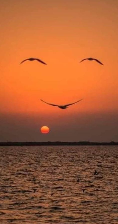 Image Illusion, Hope Is The Thing With Feathers, Don't Worry Be Happy, Ocean Sunset, Beautiful Ocean, Jolie Photo, Sunset Pictures, Beautiful Nature Pictures, My Photo Gallery