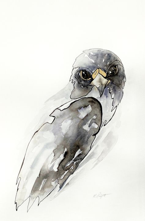 Print of an original painting of a Cooper's hawk. I love the moody energy in this painting -a mix of shadows and light.  This print is printed on beautifully textured watercolor paper, making the print look like an original.  Please be aware that the color you see on your screen may vary depending on the settings and capabilities of your monitor, but the photos of my artwork are as true to their actual color as possible.  Ships via USPS from Seattle within a week. Original art is always pressed Watercolor And Ink Birds, Bird Drawing Watercolor, Watercolor Owls Simple, Watercolor Art Paintings Beautiful, Watercolor Hawk, Watercolor Ink Art, Bird Watercolor Art, Shadows And Light, Hawk Bird