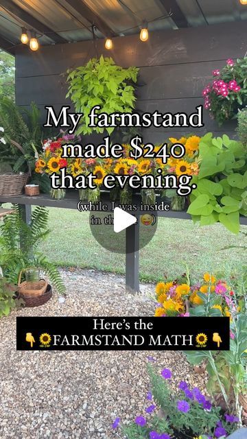 Farm Events Ideas, Honor System Farm Stand, No Spending, Honor System, Urban Homesteading, Education Inspiration, Self Serve, Backyard Farming, Farm Stand