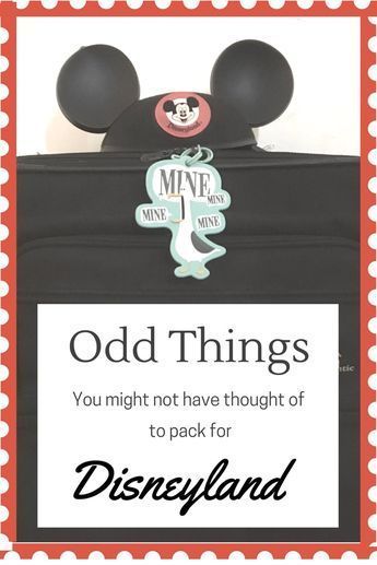 Things that you might want to pack that aren't on the usual packing lists for Disneyland trips. Disneyland Trip Planning, Disneyland Vacation Planning, Disneyland Holidays, Things To Pack, Disneyland Secrets, Disneyland Planning, Family Disney Trip, Disneyland Tips, Odd Things