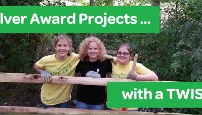 8 Silver Award Projects … with a Twist! Girl Scout Badges Requirements, Cadette Girl Scout Badges, Girl Scout Silver Award, Therapy Garden, Girl Scout Meeting Ideas, Girl Scout Mom, Snap Circuits, Girl Scouts Cadettes, Girl Scout Badges