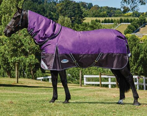 Comfitec Plus Dynamic Medium Detach-a-Neck Horse Blanket Purple/Black - Item # 42292 Purple Horse Tack, Horse Blankets Winter, Horse Turnout, Purple Horse, Horse Room, Turnout Rug, Fly Boots, Winter Rug, Horse Blanket