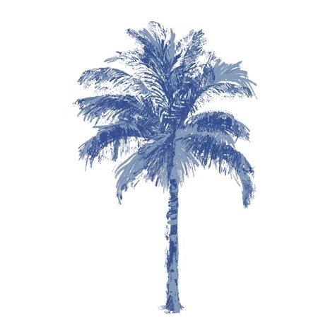 Bay Isle Home Tempe Palm Blue II by Kristen Drew | Wayfair Coastal Pictures, Coastal Prints, Room Posters, Canvas Home, Outdoor Shade, Blue Aesthetic, Palm Tree, High Quality Art Prints, Find Art