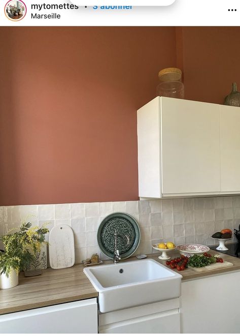 Terracotta Wall Kitchen, Terracota Kitchen Design, Terracotta Kitchen Backsplash, Terracotta Kitchen Walls, Farrow And Ball Kitchen, Terracotta Kitchen, Sage Kitchen, Color Terracota, Kitchen Decor Inspiration