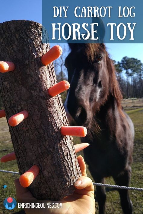 A DIY horse toy treat log for horse enrichment featuring a short thick log with carrots sticking out of holes all over surface. In background, black horse looks eagerly at log across a pasture fence. Overlay text reads DIY Carrot Log Horse Toy enriching equines dot com Horse Feed Room, Mini Shetland Pony, Diy Horse Toys, Toys For Horses, Horse Blankets Winter, Horse Farm Ideas, Equine Care, Paddock Paradise, Diy Horse