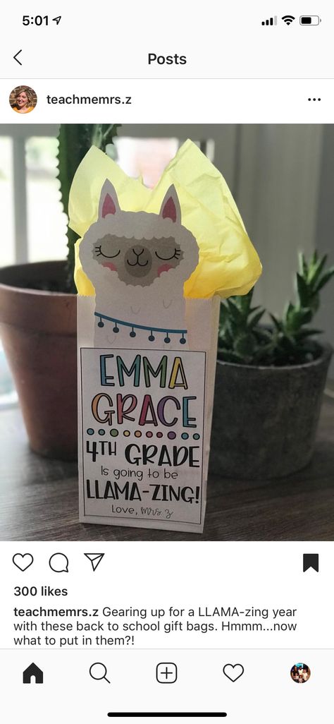 Llama And Cactus Classroom Theme, Llama Classroom Decor, Llama Classroom Theme, Llama Classroom, Cactus Classroom, Elementary Classroom Themes, Meet The Teacher Night, Llama Decor, Camping Theme Classroom