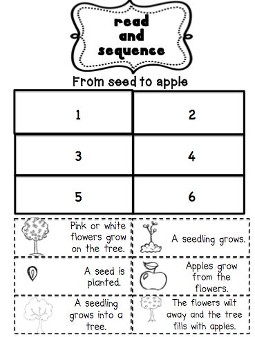 Let me start by saying I do love my new job. HOWEVER... I SO miss seasonal fun activities. I LOOOVE fall and this is always the time when ... Apple Counting, Johnny Appleseed Activities, Apple Kindergarten, September School, Apple Lessons, Apple Unit, 1st Grade Science, Fall Lessons, First Grade Science