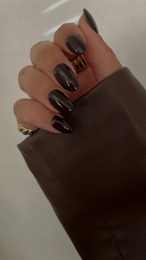 Brown nails #brownnails #fallnails Dark Chocolate Nails, Dark Brown Nails, November Moodboard, Regina Phalange, Black Almond Nails, Classic Nail, Nails Autumn, Short Almond Nails, 2024 Nails