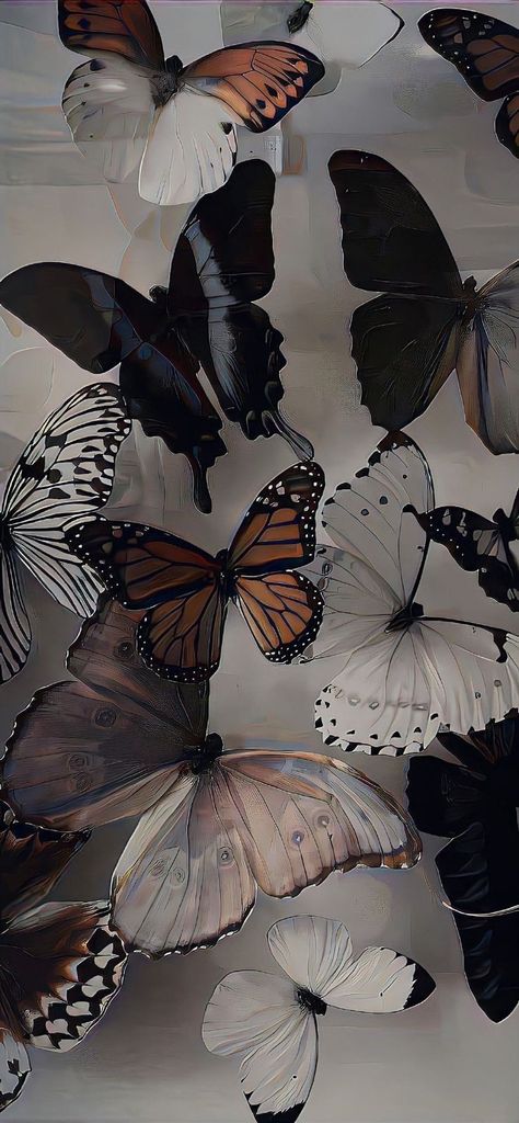 Butterflies Wallpaper, Iphone Wallpaper Stills, Iphone Wallpaper Classy, Simple Phone Wallpapers, Flower Iphone Wallpaper, Iphone Wallpaper Photos, Iphone Wallpaper Girly, Cool Wallpapers Art, Black Aesthetic Wallpaper