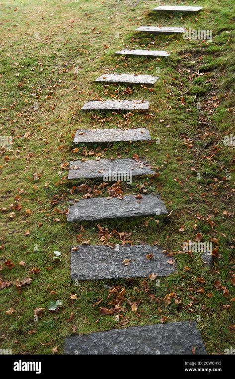 Download this stock image: Natural stone steps leading up a grassy slope - 2CWCHY5 from Alamy's library of millions of high resolution stock photos, illustrations and vectors. Outdoor Stone Steps, Natural Stone Steps, Stepping Stone Walkways, Sloped Backyard Landscaping, Stepping Stone Paths, Sloped Yard, Walkways Paths, Sloped Backyard, Stone Steps