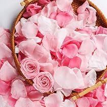 Confetti For Wedding, Pink Flower Petals, Flower Petal Confetti, Night Decor, Frozen Rose, Fresh Rose Petals, Real Rose Petals, Silk Rose Petals, Wedding Flower Girl Basket