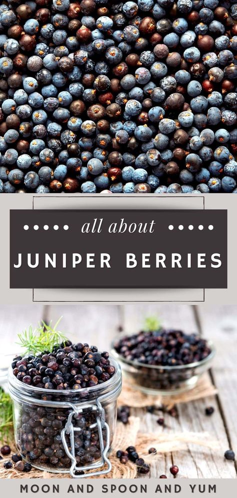 Juniper Berry Beads, What To Do With Juniper Berries, Dried Juniper Berry Recipes, Juniper Berry Candle Diy, Elder Berry Recipes, Cooking With Juniper Berries, Uses For Juniper Berries, Juniper Berries Benefits, Juniper Berries Recipes