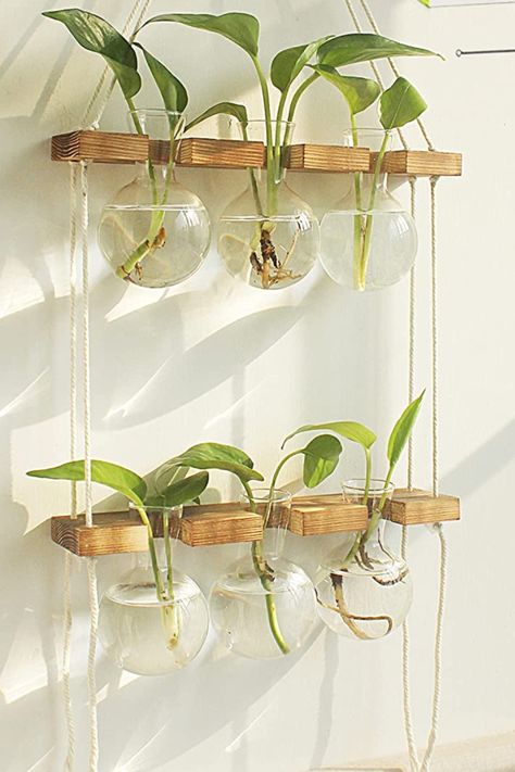 This wall hanging planter is stylish and functional all at the same time! It's gorgeous when hanging and gives a lot of room for your propagations to climb.If you are looking for a more beautiful propagators to replace the jars in front of your window, this is a good choice! Plant Propagation Station, Lab Glassware, Wall Hanging Plant, Indoor Plant Wall, Propagation Station, Bulb Vase, Hanging Plant Wall, Plant Propagation, Terrariums Kits