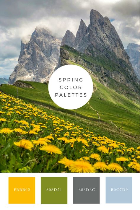 This image features a vibrant field of sunflowers set against rolling green hills and a bright blue sky with fluffy white clouds. It beautifully captures the warmth and beauty of a sunny countryside. Color Generator, Field Of Sunflowers, Bright Blue Sky, Flip Image, Blur Image, Spring Color Palette, Green Hills, Color Picker, Palette Color