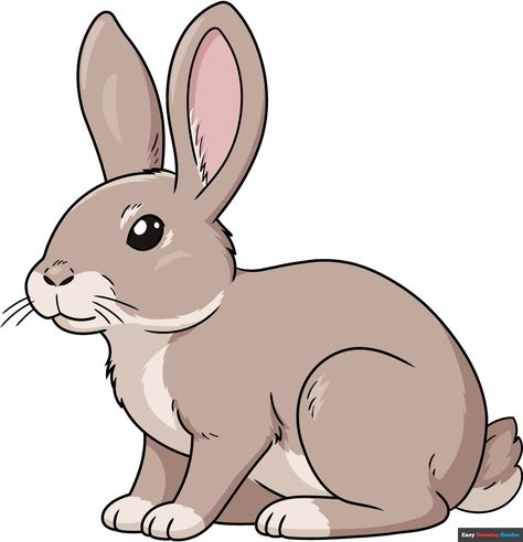 Learn How to Draw an Easy Realistic Bunny: Easy Step-by-Step Drawing Tutorial for Kids and Beginners. See the full tutorial at https://easydrawingguides.com/how-to-draw-an-easy-realistic-bunny/ How To Draw A Rabbit, Rabbit Drawing Easy, Cat Face Drawing, Drawing Guides, Drawing Tutorial Face, Easy Drawing Tutorial, Bunny Drawing, Drawing Tutorials For Kids, Bunny Pictures