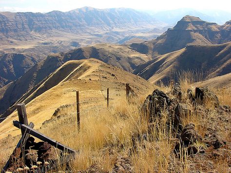 Imnaha Gorge Oregon High Desert Oregon, My Father's World, State Of Oregon, Ancient Forest, Business Travel, Magical Places, Outdoor Adventure, Pacific Northwest, Travel Bucket List