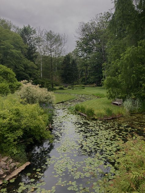 Rainy Green Aesthetic, Rainy Spring Aesthetic, Rainy Garden, Rainy Spring Day, 2024 Manifesting, Rainy Spring, Illustration Reference, Scene Aesthetic, Green Scenery