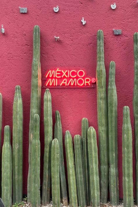 Discover the best of Mexico City with our ultimate 4-day CDMX travel itinerary! This Mexico City guide includes everything from places to visit, the best Mexico City neighbourhoods like Coyoacán, Polanco, Roma Norte, and San Ángel, plus Zócalo and Teotihuacan. We’ve got Mexico City tips on places to stay, food to try, and top things to do. Plan your perfect Mexico travel adventure! Mexico Vision Board, Travel Aesthetic Mexico, Mexico City Aesthetic, Roma Norte Mexico City, Mexico Nails, Mexico City Food, 2025 Travel, Travel To Mexico, Mexico Aesthetic