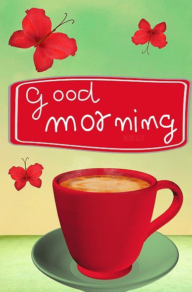 Mimi Gif: Good Morning Good Day Gif, Gif Good Morning, Good Morning Gift, G Morning, Good Morning Cards, 25 November, Hello May, Good Morning Gif, Halloween Coffee