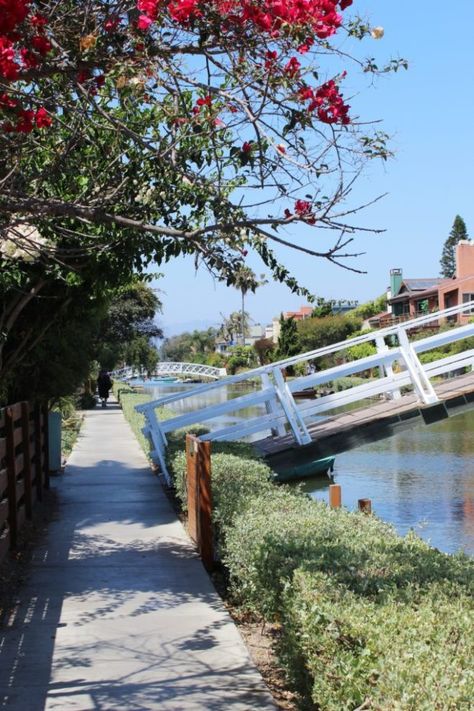 Venice Canals California, Venice Beach Canals, Venice Boardwalk, La Summer, California Restaurants, Venice Beach California, Muscle Beach, Venice California, Abbot Kinney