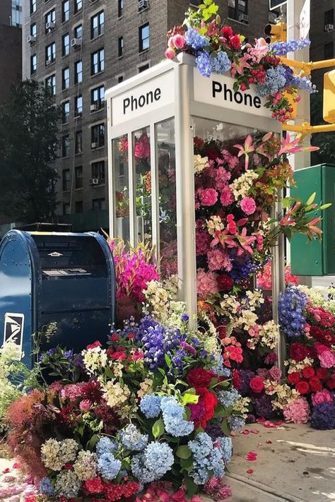 An unconventional advertising approach: guerrilla gardening moss graffiti. Check this Flowers Bloom, installed in unexpected places in New York! Guerilla Gardening, Moss Graffiti, Succulent Photography, Guerrilla Gardening, Dream Wedding Decorations, Flower Cart, Flower Installation, Street Marketing, Stall Designs