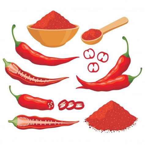 Veggie Art, Cocktail Illustration, Mexican Candy, Spicy Tomato Sauce, Vector Food, Red Chili Peppers, How To Dry Rosemary, Learning Graphic Design, Chilli Pepper