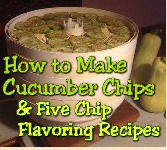 Cucumber Chips, Food Dehydration, Healthy Low Carb Snacks, Healthy Chips, Dehydrated Vegetables, Veggie Chips, Zucchini Chips, Dehydrated Fruit, Cucumber Recipes