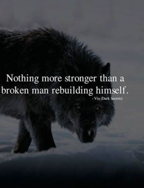 Lone Wolf Quotes, Wolf Quotes, Motivation Positive, Boxing Quotes, 10th Quotes, Warrior Quotes, Super Quotes, Men Quotes, A Wolf