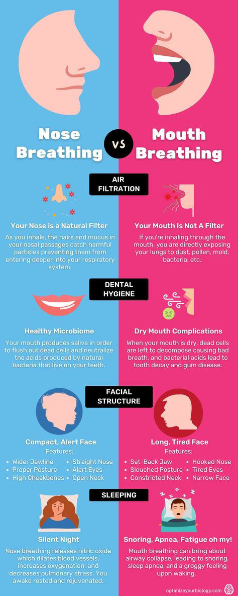 Infographic on Nose versus Mouth Breathing relating to air filtration, dental hygiene, facial structure, and sleeping. Nose Breathing, Mouth Breathing, Sinus Congestion Relief, Mouth Breather, Facial Structure, Snoring Remedies, How To Stop Snoring, Sinus Congestion, How To Prevent Cavities